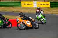 Vintage-motorcycle-club;eventdigitalimages;mallory-park;mallory-park-trackday-photographs;no-limits-trackdays;peter-wileman-photography;trackday-digital-images;trackday-photos;vmcc-festival-1000-bikes-photographs